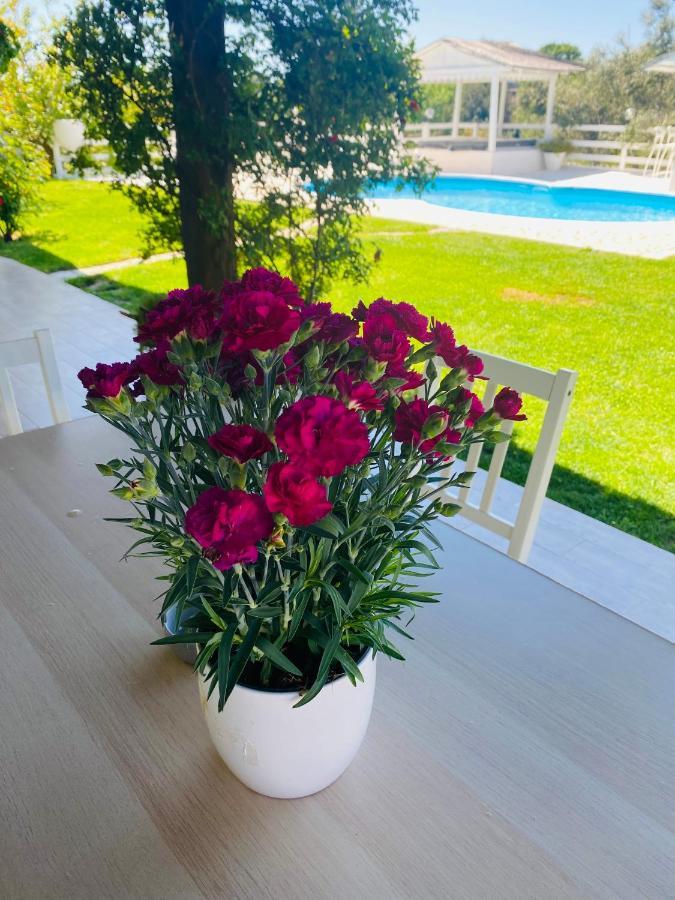 Chanel Garden Relaxation Home فورميلو المظهر الخارجي الصورة