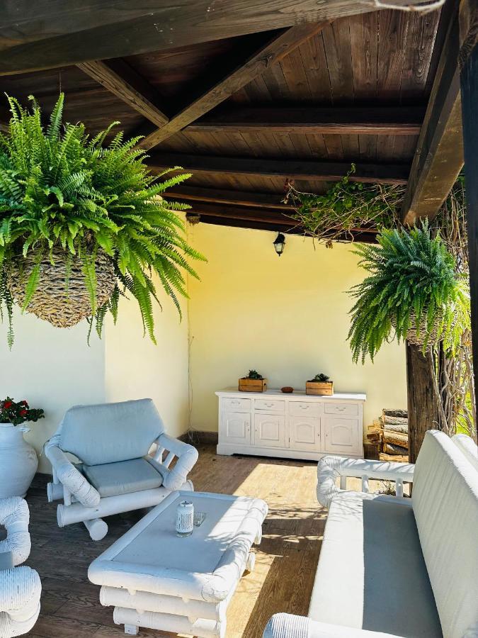 Chanel Garden Relaxation Home فورميلو المظهر الخارجي الصورة